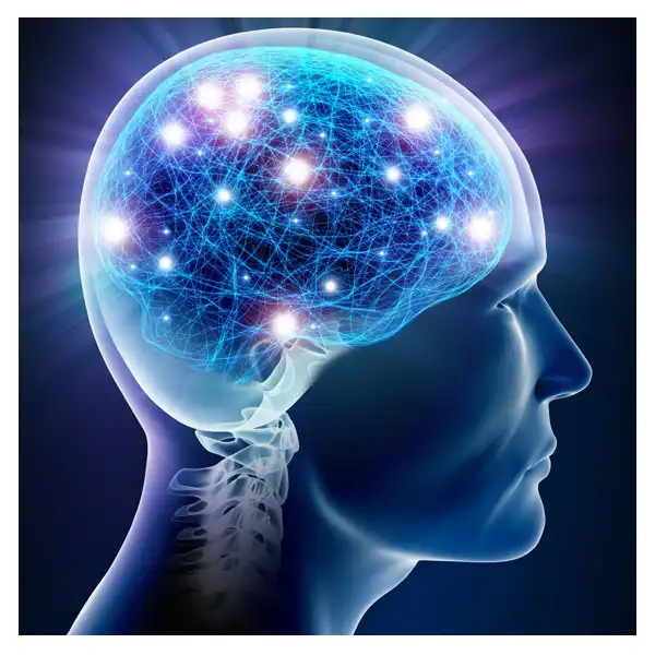 Neuroplasticity and Its Benefits