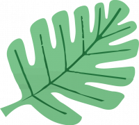 monstera leaf